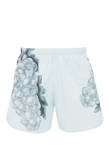 JW ANDERSON grape swim shorts light blue