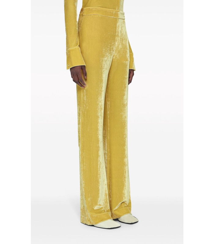 velvet pants royal yellow