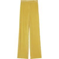 velvet pants royal yellow