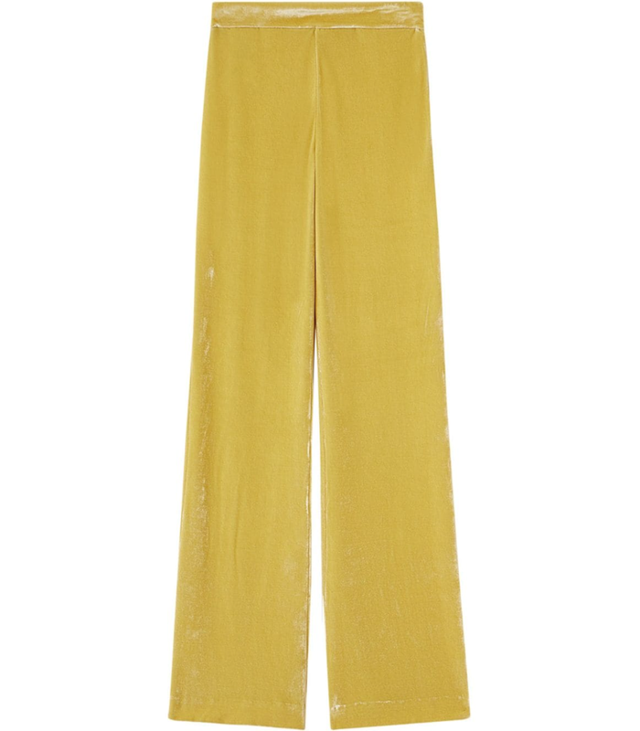 velvet pants royal yellow