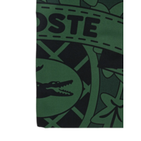 FASHION SHOW SCARF DARK VARECH/DARK VARECH