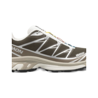 XT-6 Earth Brown/Walnut/Ftw Silver