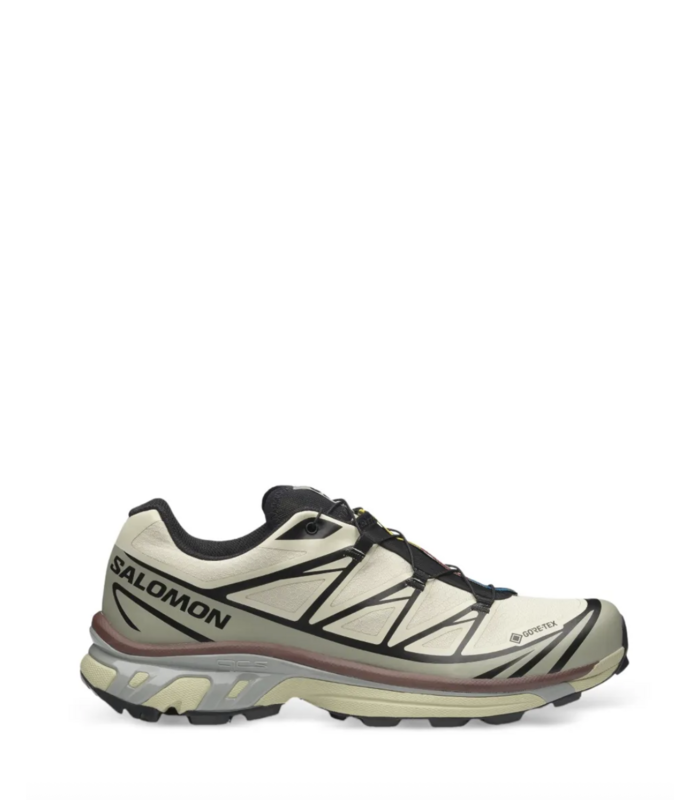 XT-6 GTX Aspargus Green/Tea/Bitter Chocolate