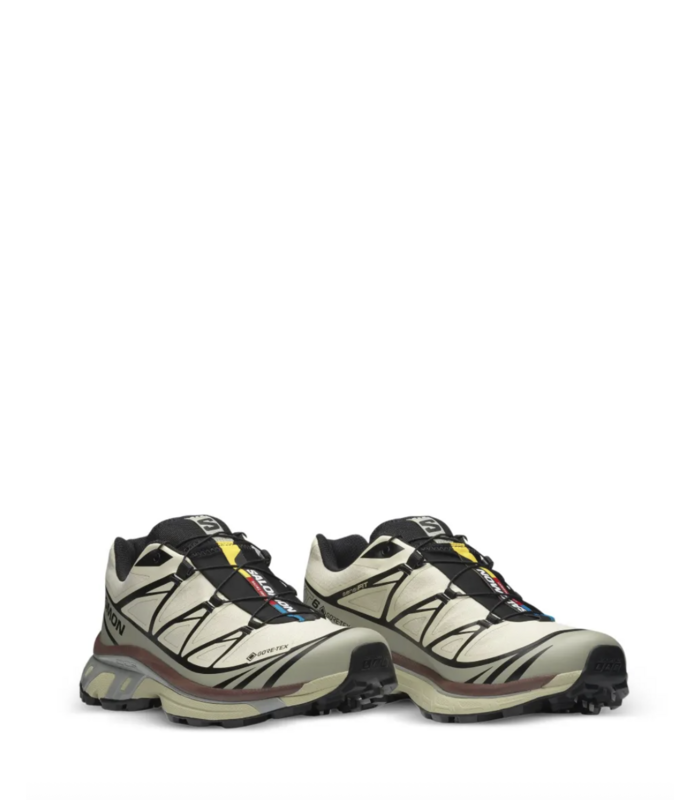 XT-6 GTX Aspargus Green/Tea/Bitter Chocolate