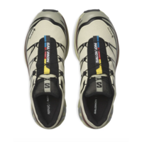 XT-6 GTX Aspargus Green/Tea/Bitter Chocolate