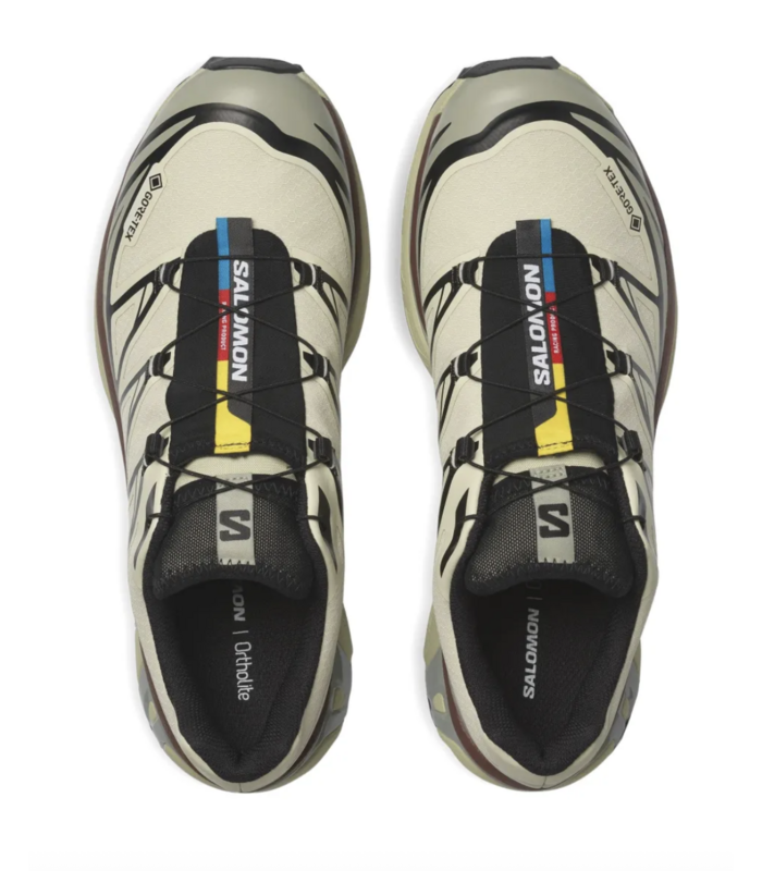 XT-6 GTX Aspargus Green/Tea/Bitter Chocolate