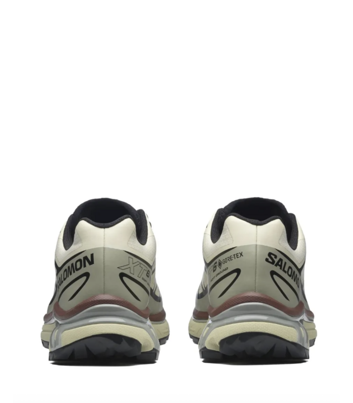 XT-6 GTX Aspargus Green/Tea/Bitter Chocolate