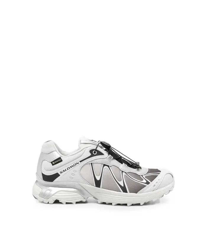 XT-WHISPER GTX Gray Violet/Black