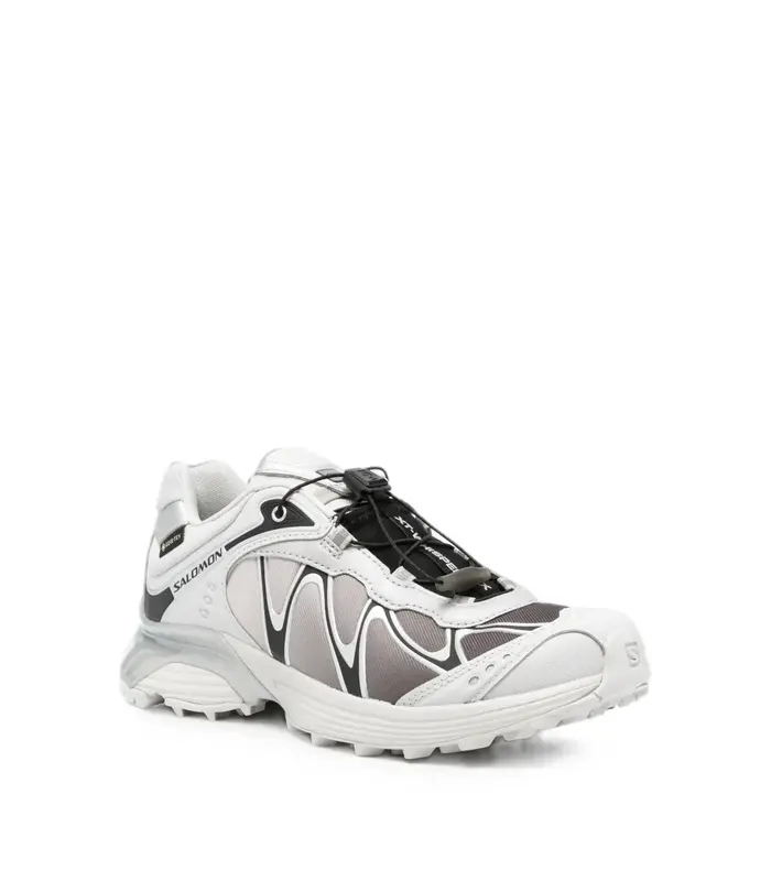 XT-WHISPER GTX Gray Violet/Black