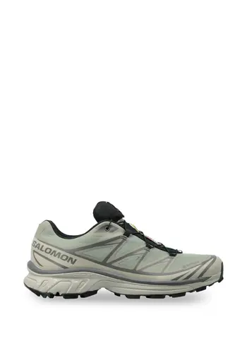 SALOMON xt-6 gtx white pepper/silver sage
