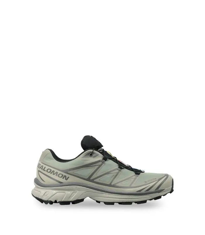XT-6 GTX White Pepper/Silver Sage