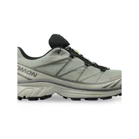 XT-6 GTX White Pepper/Silver Sage