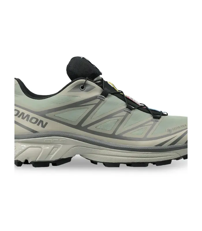 XT-6 GTX White Pepper/Silver Sage