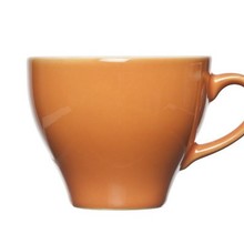 Cosy & Trendy Barista Orange  Kop 20cl 8181020