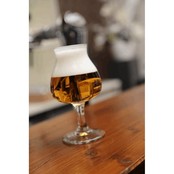 Royal Leerdam Bierglas Specials 25 cl Transparant 6 stuks 527650