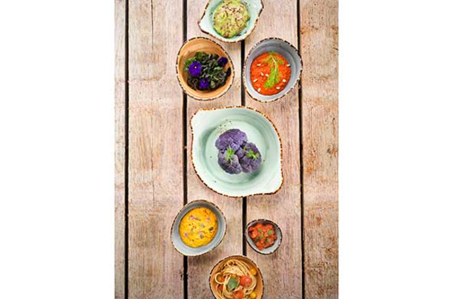 Cosy & Trendy Quiandra Green Eierpannetje D16-12.5CM H3.5CM - 8272016 Cosy & Trendy Quiandra Green Eierpannetje D16-12.5CM H3.5CM - 8272016