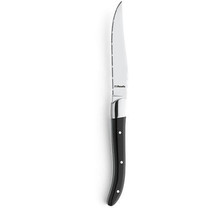 Amefa Steakmes 2520 Royal Steak 23 cm Kunststof-rvs 531318