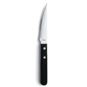 Amefa Steakmes 7000 Steak 21 cm Kunststof-rvs 105905 Amefa Steakmes 7000 Steak 21 cm Kunststof-rvs 105905