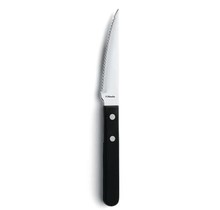 Amefa Steakmes 7000 Steak 21 cm Kunststof-rvs 105905