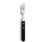 Amefa Steakvork 7000 Steak 20.1 cm Kunststof-rvs 105903 Amefa Steakvork 7000 Steak 20.1 cm Kunststof-rvs 105903