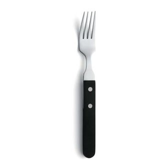 Amefa Steakvork 7000 Steak 20.1 cm Kunststof-rvs 105903