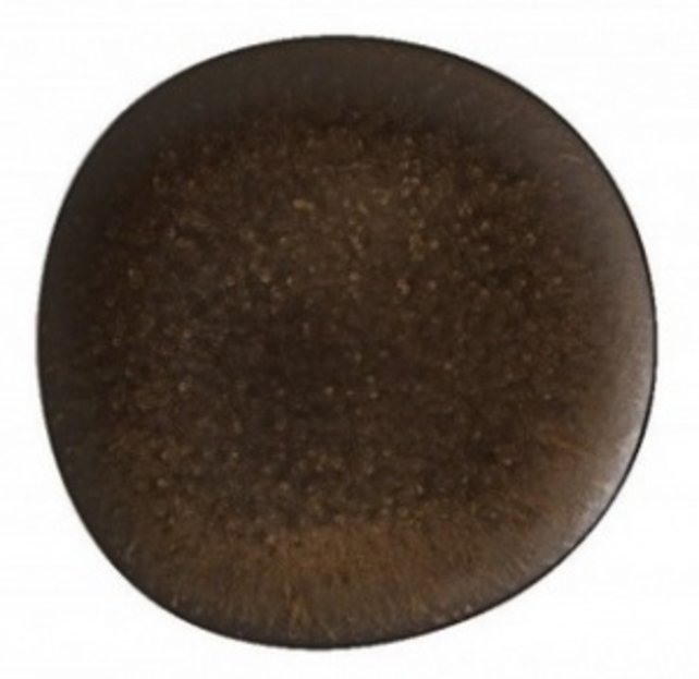 Vista Alegre Amazonia dark Plat bord 28cm 621624 Vista Alegre Amazonia dark Plat bord 28cm 621624