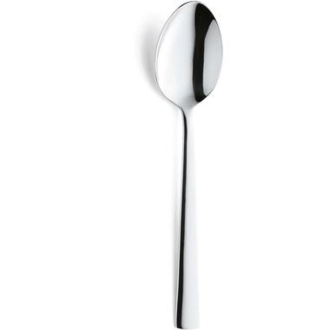 Serviesset Combi Palmer Lotus Amefa Moderno & Pasabahce Allegra 60 delig (6 personen)