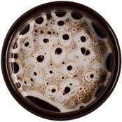 Graupera Sabana Ovenschaal 14 x 3,1 cm 532530 Graupera Sabana Ovenschaal 14 x 3,1 cm 532530