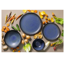 Serviesset Palmer Tama 24 delig (6 personen) Blauw Stoneware