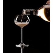Royal Leerdam Experts Collection Champagnecoupe 27 cl - Transparant 6 stuk(s) 534704 Royal Leerdam Experts Collection Champagnecoupe 27 cl - Transparant 6 stuk(s) 534704