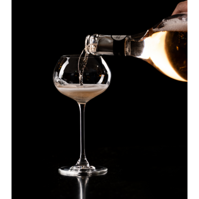 Royal Leerdam Experts Collection Champagnecoupe 27 cl - Transparant 6 stuk(s) 534704 Royal Leerdam Experts Collection Champagnecoupe 27 cl - Transparant 6 stuk(s) 534704