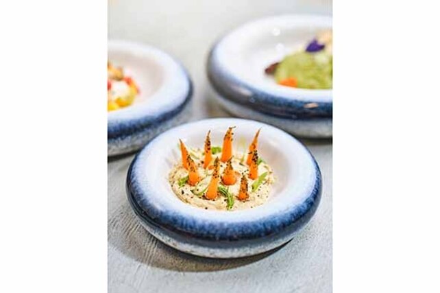 Cosy & Trendy Torus Cove Schaal D20,3XH5CM 4859020