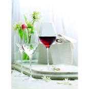 Stolzle Exquisit Royal Champagneflûte 26.5 cl - Transparant 6 stuk(s) 534775 Stolzle Exquisit Royal Champagneflûte 26.5 cl - Transparant 6 stuk(s) 534775