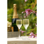 Stolzle Ultra Champagneflûte 19 cl - Transparant 6 stuk(s) 534783 Stolzle Ultra Champagneflûte 19 cl - Transparant 6 stuk(s) 534783