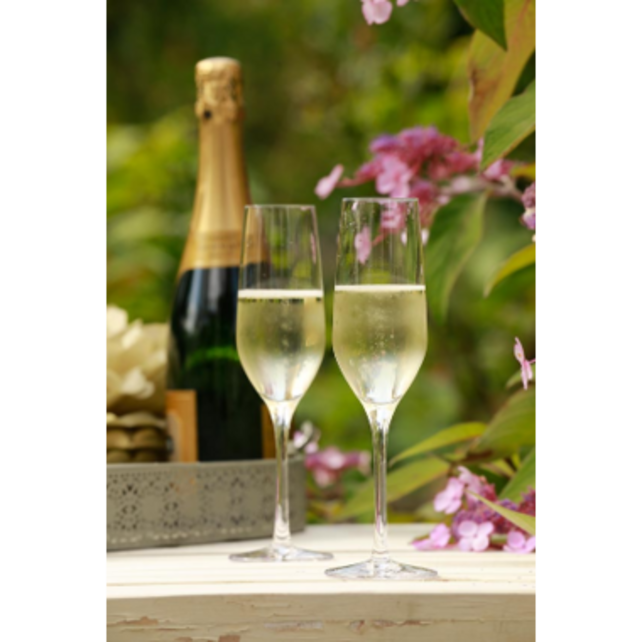 Stolzle Ultra ChampagneflÃ»te 19 cl - Transparant 6 stuk(s) 534783