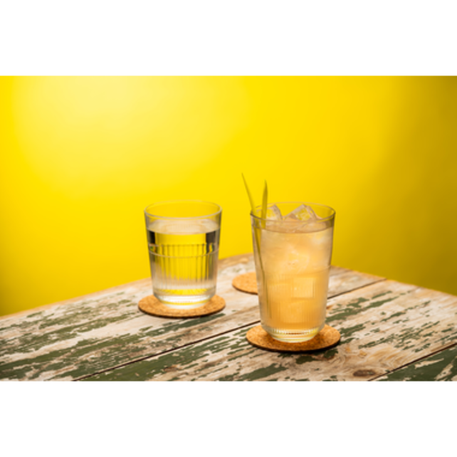 Royal Leerdam Rayo Tumbler 32 cl Transparant 6 stuk(s) 532465 Royal Leerdam Rayo Tumbler 32 cl Transparant 6 stuk(s) 532465