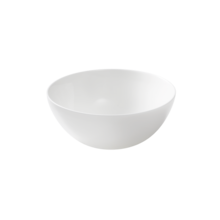 Maastricht Porselein Blanc De Blancs Schaal 15.5 cm 40 cl Wit 527388