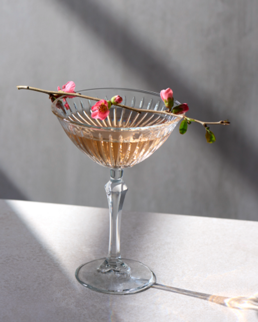 Pasabahce Martiniglas Joy 23 cl -Transparant 4 stuks 535186