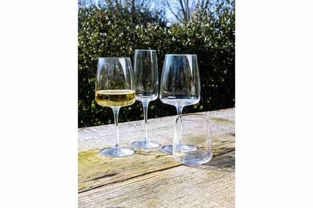 Bormioli Rocco Planeo Wijnglas 54CL 4 stuks 365748-GRB Bormioli Rocco Planeo Wijnglas 54CL 4 stuks 365748-GRB