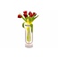 Securit Tafellamp vaas voor bloemen Securit Florence wit LPFLWT