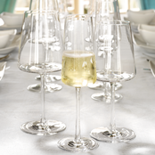 Stolzle Power Champagneflûte 24 cl - Transparant 6 stuk(s) 535545