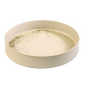 Gural Savanne bowl D230xH43mm 1000ml  623784