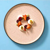 Palmer Bord Coco 14,5 cm Crème 536577
