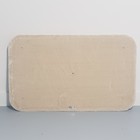 RHRQuality Bodemplaat Panther 100x60x4 Creme