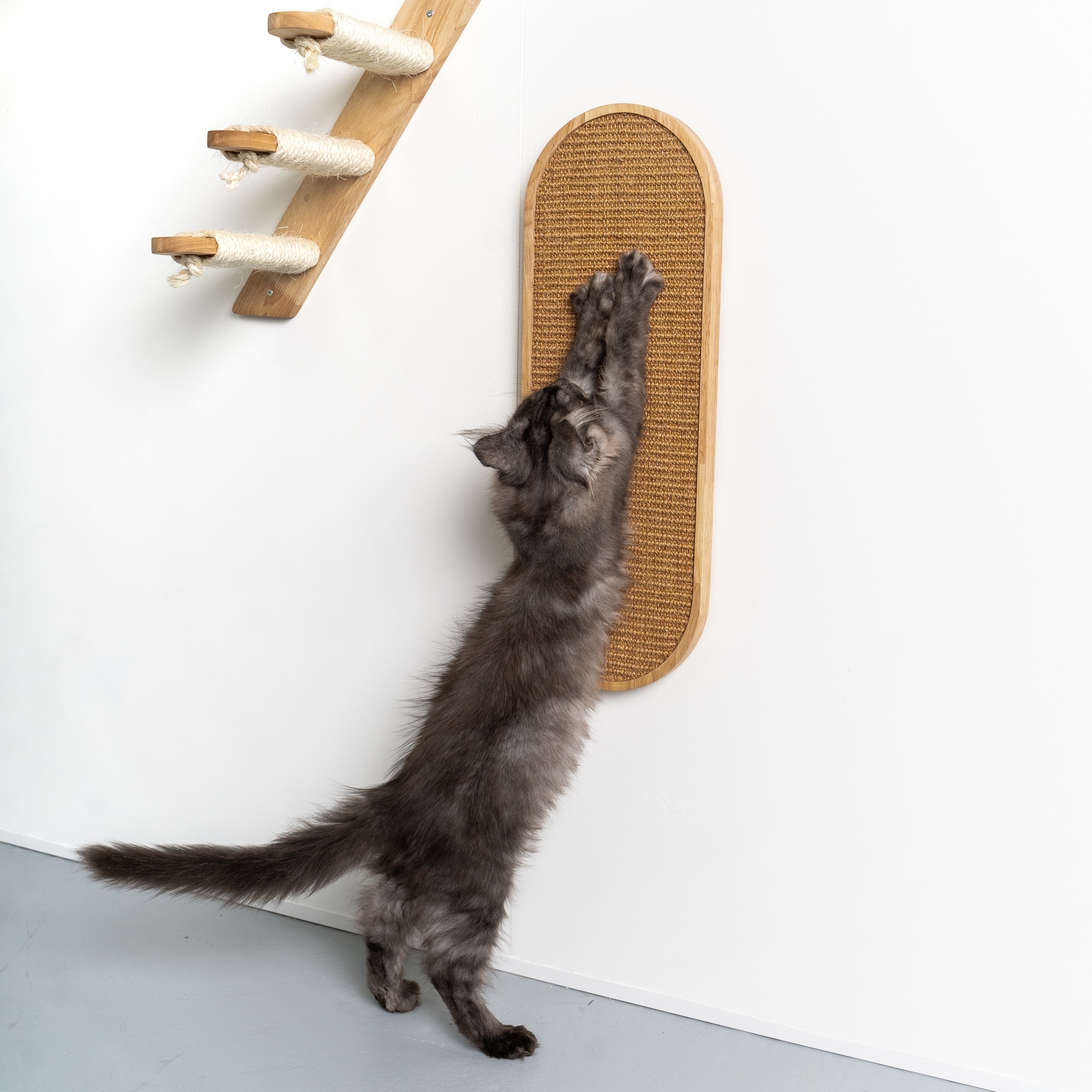 Kattenwand - Krabplank de Luxe (Rubberwood - Dierenvilla.nl