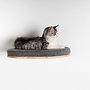 RHRQuality Kattenwand - Luxe Kattenbed (Grijs)