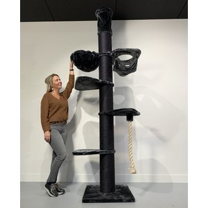 RHRQuality Tiragraffi Maine Coon Tower Crown Blackline Dark Grey