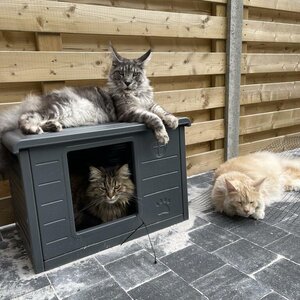 RHRQuality Katzenhaus Villa de Luxe Grau für den Innen- und Außenbereich.