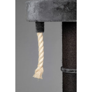 RHRQuality Arbre à chat Maine Coon Sleeper Blackline Dark Grey