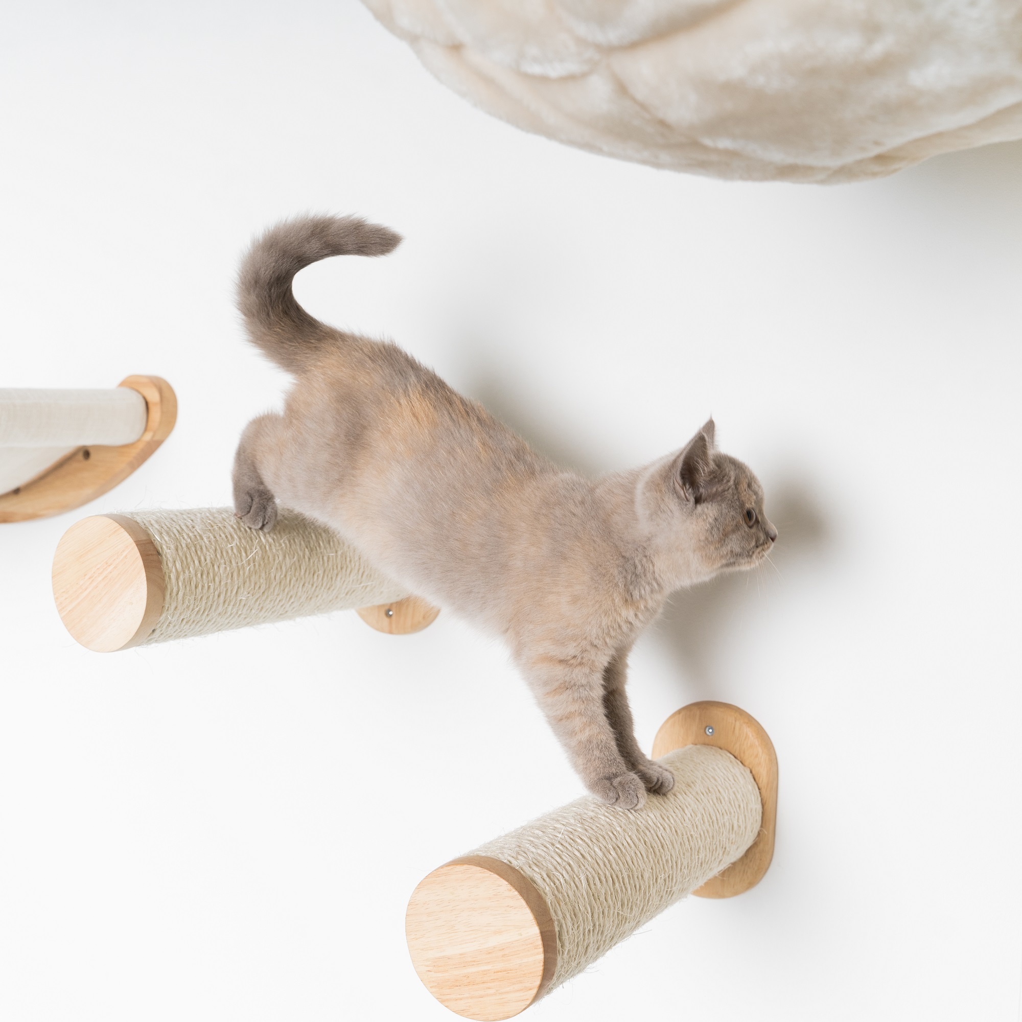 Muro Escalada Para Gatos - Set de Escaleras (Beige) – RHR Pets ES